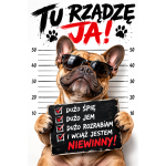 Plakaty - Zwierzęta