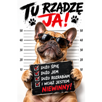 Plakaty - Zwierzęta